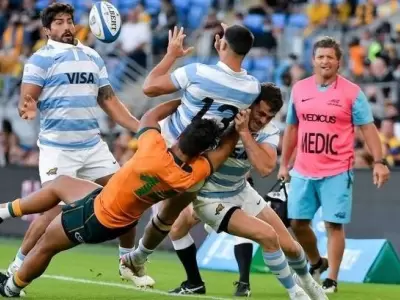 Los-Pumas-