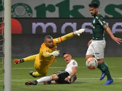 river_-_palmeiras_0