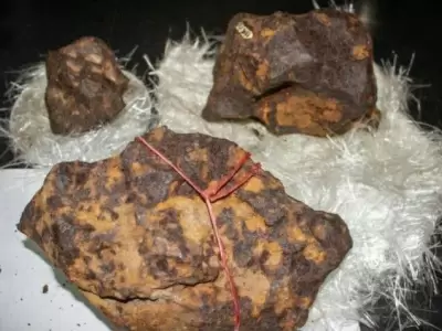 Meteortio