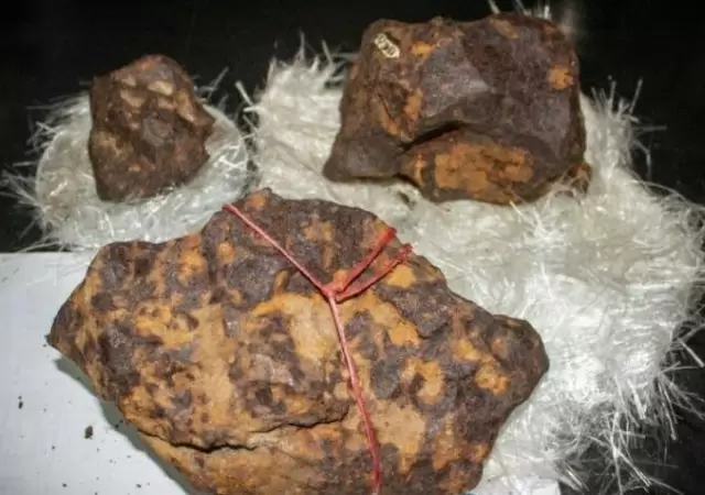 Meteortio