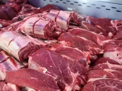 Carne