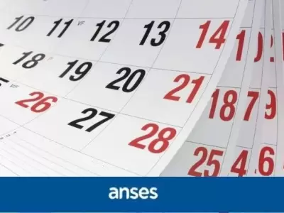 cronograma-anses-enero