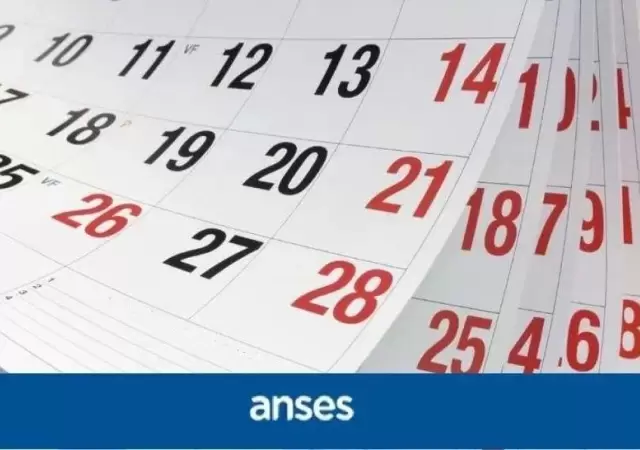 cronograma-anses-enero
