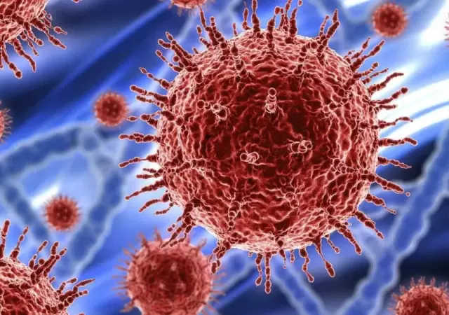 coronavirus-sud�frica-variante-expertos