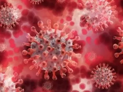 coronavirus-covid