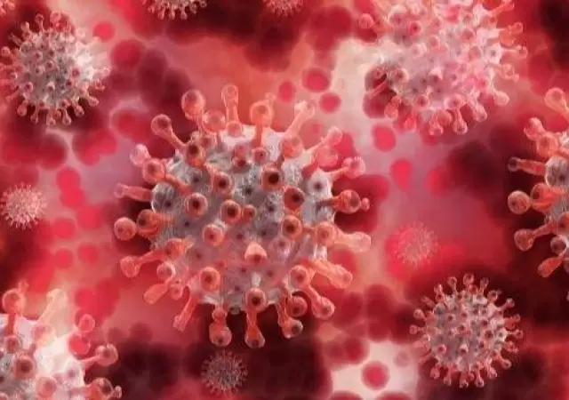 coronavirus-covid