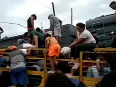 carne-vecinos-santiago-del-estero-tren-vacas