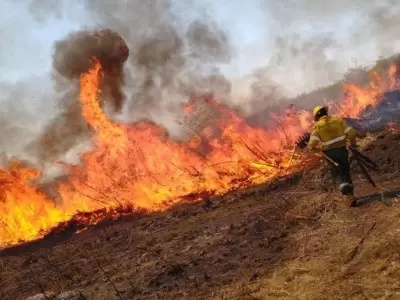 incendios