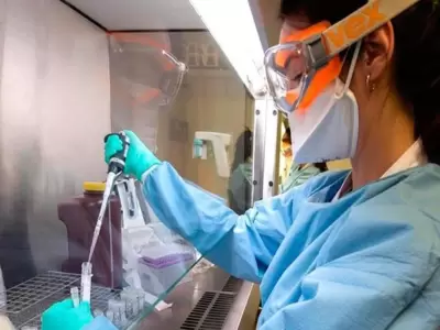 coronavirus_laboratorio_01