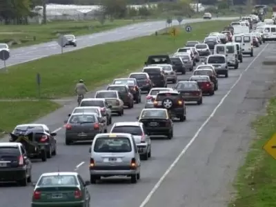 Ruta