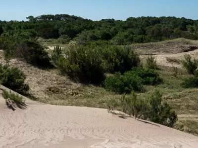 El-Salvaje,-Chacras-Mar�timas---(1)