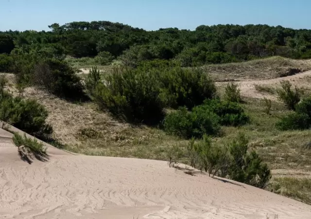 El-Salvaje,-Chacras-Mar�timas---(1)