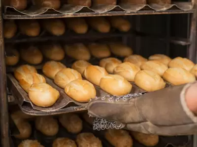 pan-panader�a
