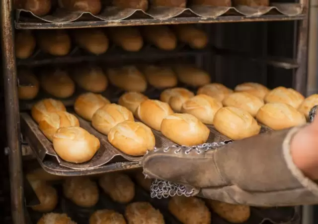 pan-panader�a