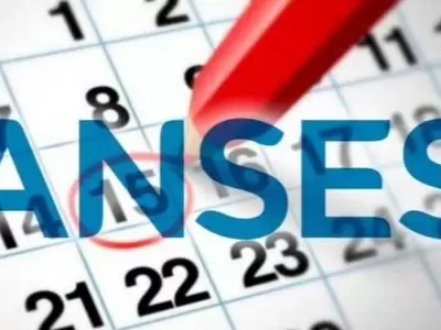 Anses-7-de-febrero