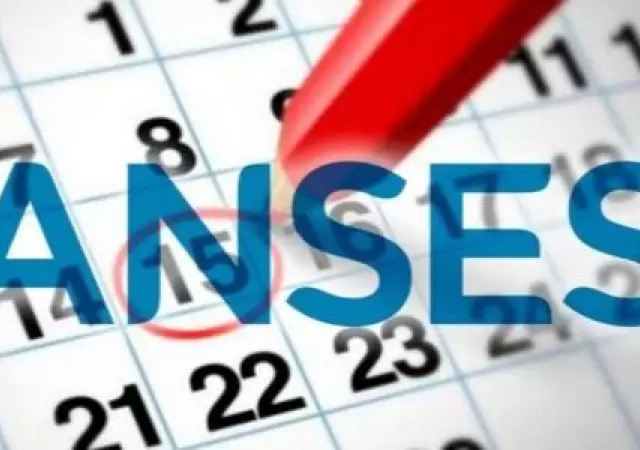 Anses-7-de-febrero