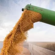 El campo pide una r�pida baja de retenciones frente a una crisis inminente