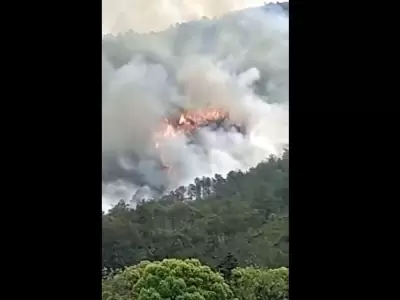 avion-china-accidente-humo-muertos-png.