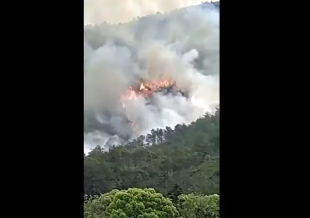 avion-china-accidente-humo-muertos-png.