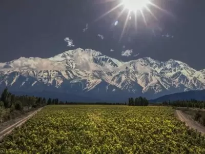 mendoza