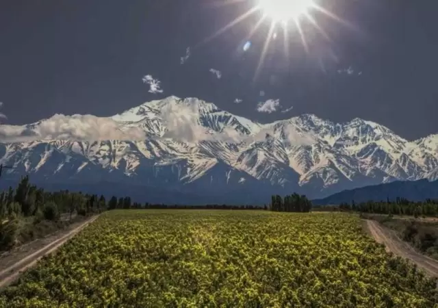 mendoza
