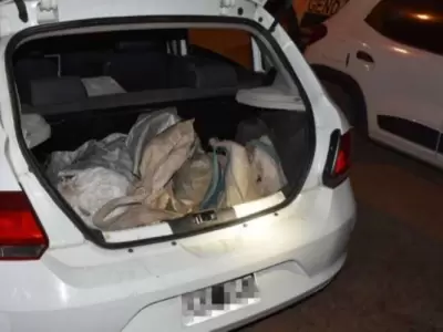 quirquinchos-auto-salta-argentina-animales-caza-ilegal-png.