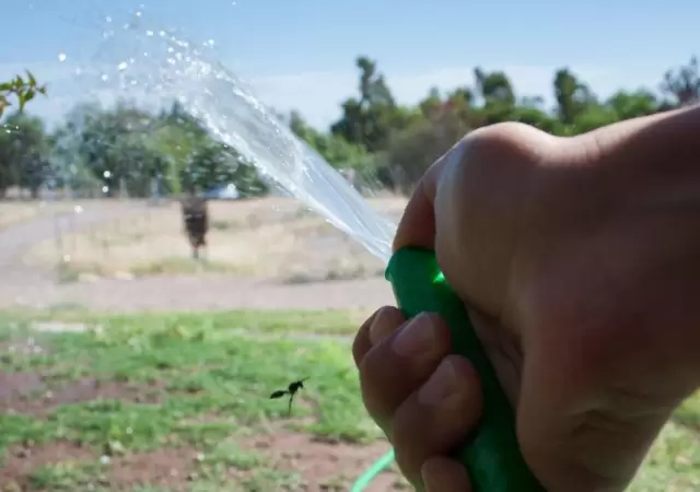 Agua