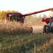 Ricardo Buryaile: "No sabemos cu�l es el proyecto del Gobierno para el agro"