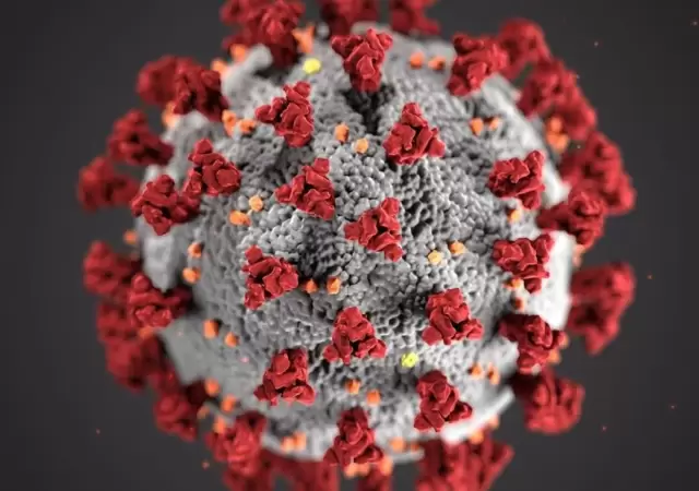 cepa-coronavirus-manaos-argentina