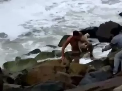 rescate-perro-jpg.