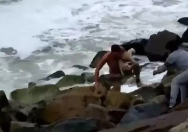 rescate-perro-jpg.