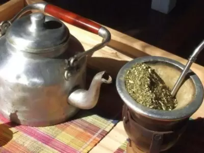 yerba-mate