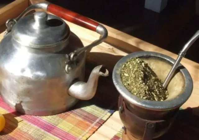 yerba-mate