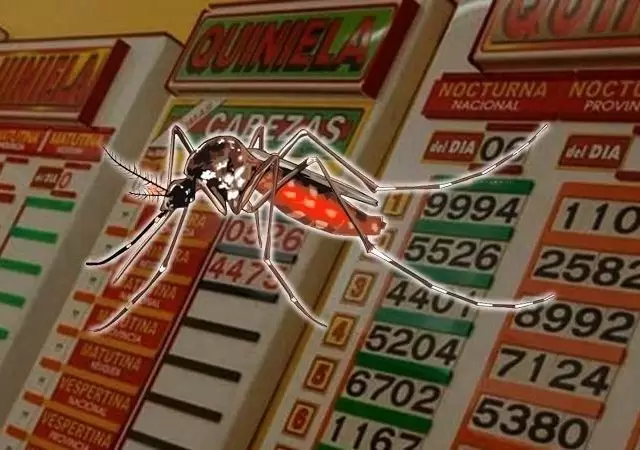 mosquitos-quiniela-numero-suerte-tabla-suenos-insectos-jpeg.