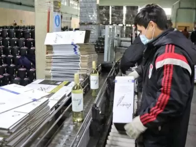 trabajo-bodega-vino-jpeg.