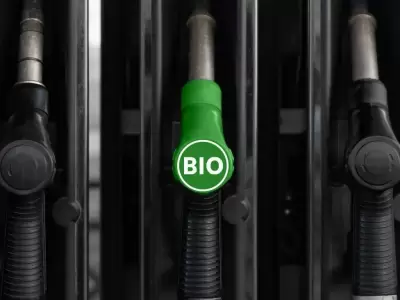 bio-combustible-jpg.