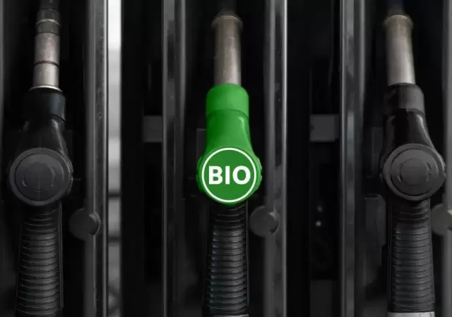 bio-combustible-jpg.