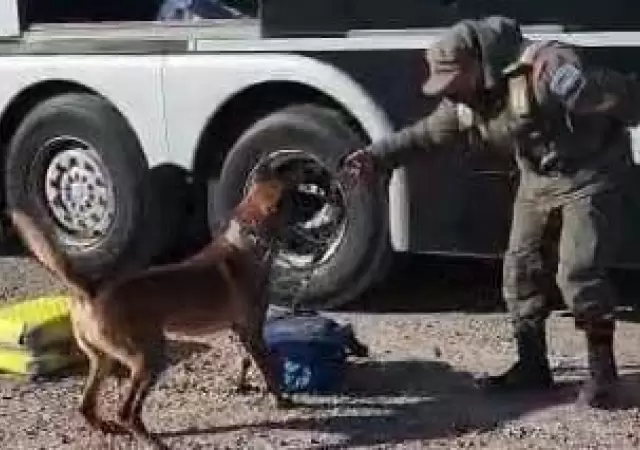 detenida-mza-jpg.