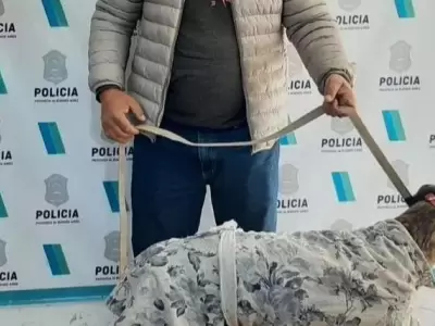 captura-pantalla-2022-06-13-las-jpg.