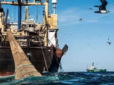 pesca-ilegal-2-jpg.