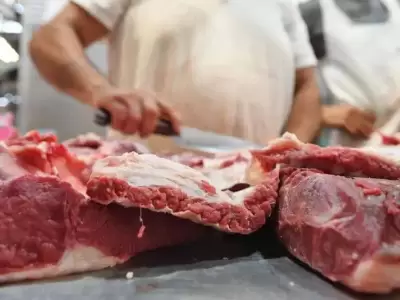 carne-jpg.