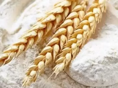 trigo-harina-pan-jpg.