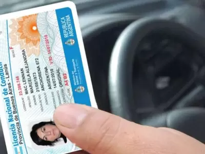 licencia-conducir-scoring-argentina-puntos-png.