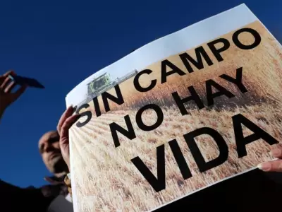 campo-conflicto