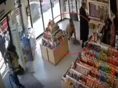 perro-video-buenos-aires-robo-recoleta-asalto-png.