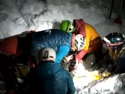 perro-tango-avalancha-rescate-png.