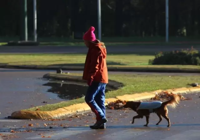 tiempo-pron�stico-invierno-mendoza