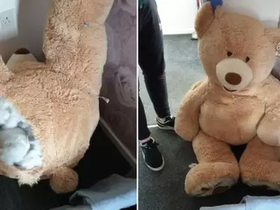 klpfbieopbdopp6feef4kwiy5q-jpg.