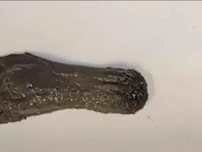 robot-liquido-ciencia-tecnologia-cuerpo-slime-png.