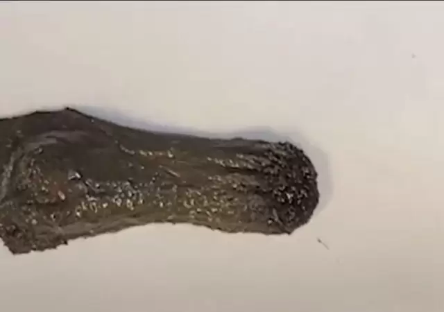 robot-liquido-ciencia-tecnologia-cuerpo-slime-png.